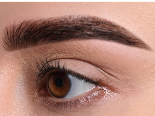 Illustration: the same brow with healed nano brows